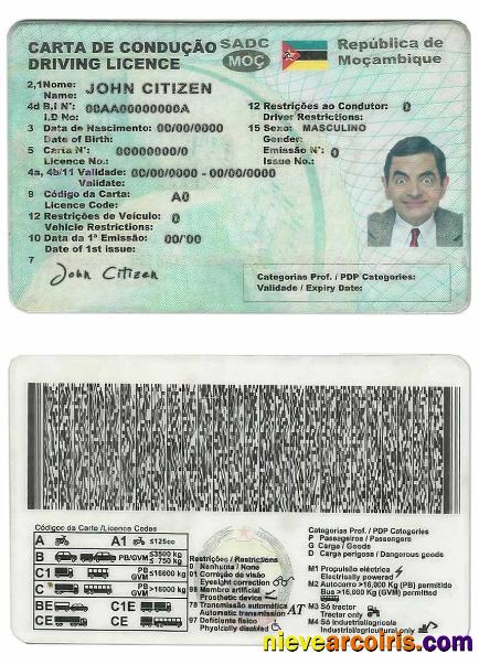 Mozambique driving license